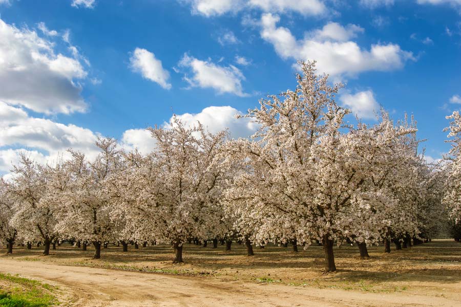 Untitled design - 2021-10-12T144105.275